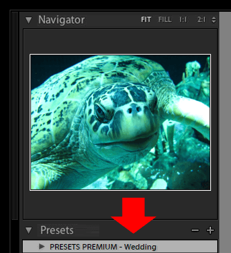 How to Install Presets Lightroom on Mac - Step 5